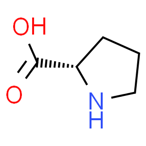 FITC-Chitosan，FITC标记壳多糖 R-616747