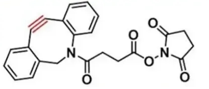 DBCO-NHS，二苯基环辛炔-琥珀酰亚胺酯，CAS：1384870-47-6 R-231098