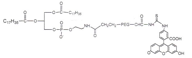 葡萄糖-罗丹明B，Glucose-Rhodamine B，罗丹明B功能化葡萄糖 R-897091