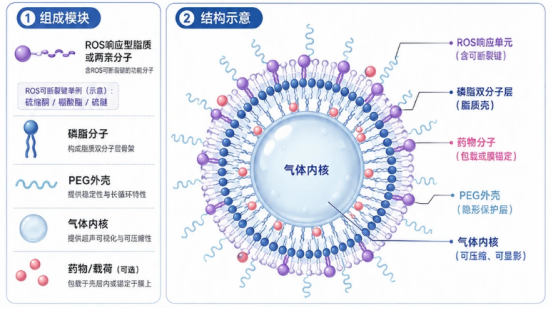 脂质体释放行为与响应性定制