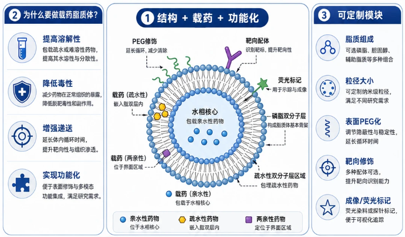 瑞禧生物脂质体载药类型与包载方式定制