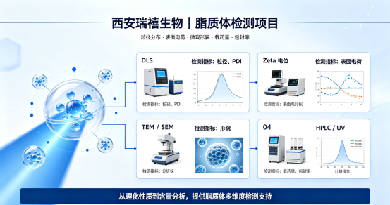 瑞禧生物脂质体表征与交付定制