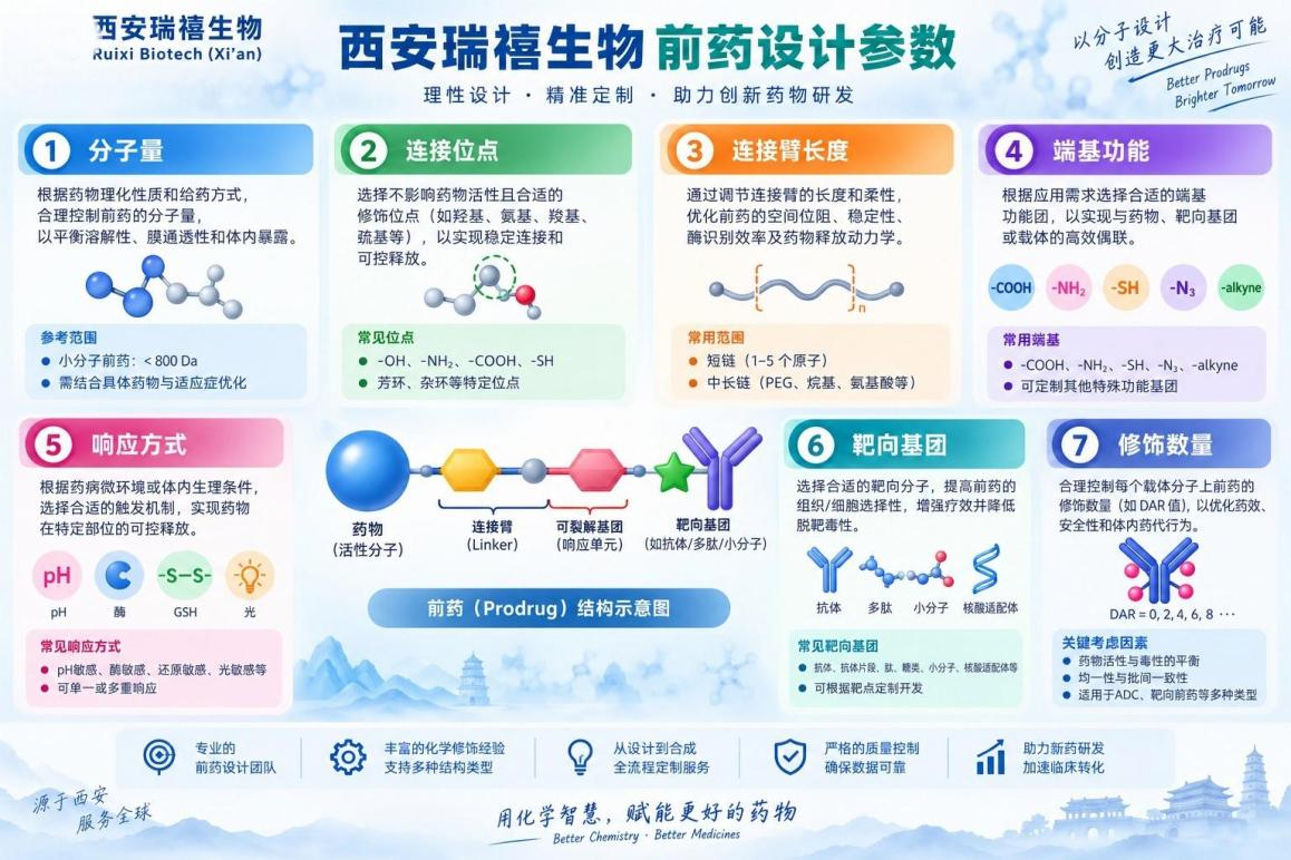 前药设计定制参数