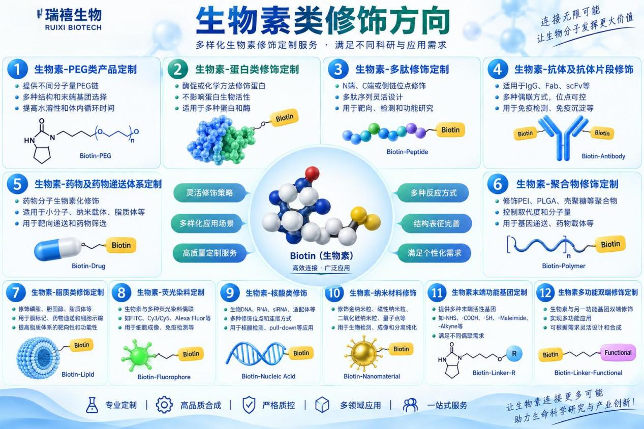 生物素类修饰定制 