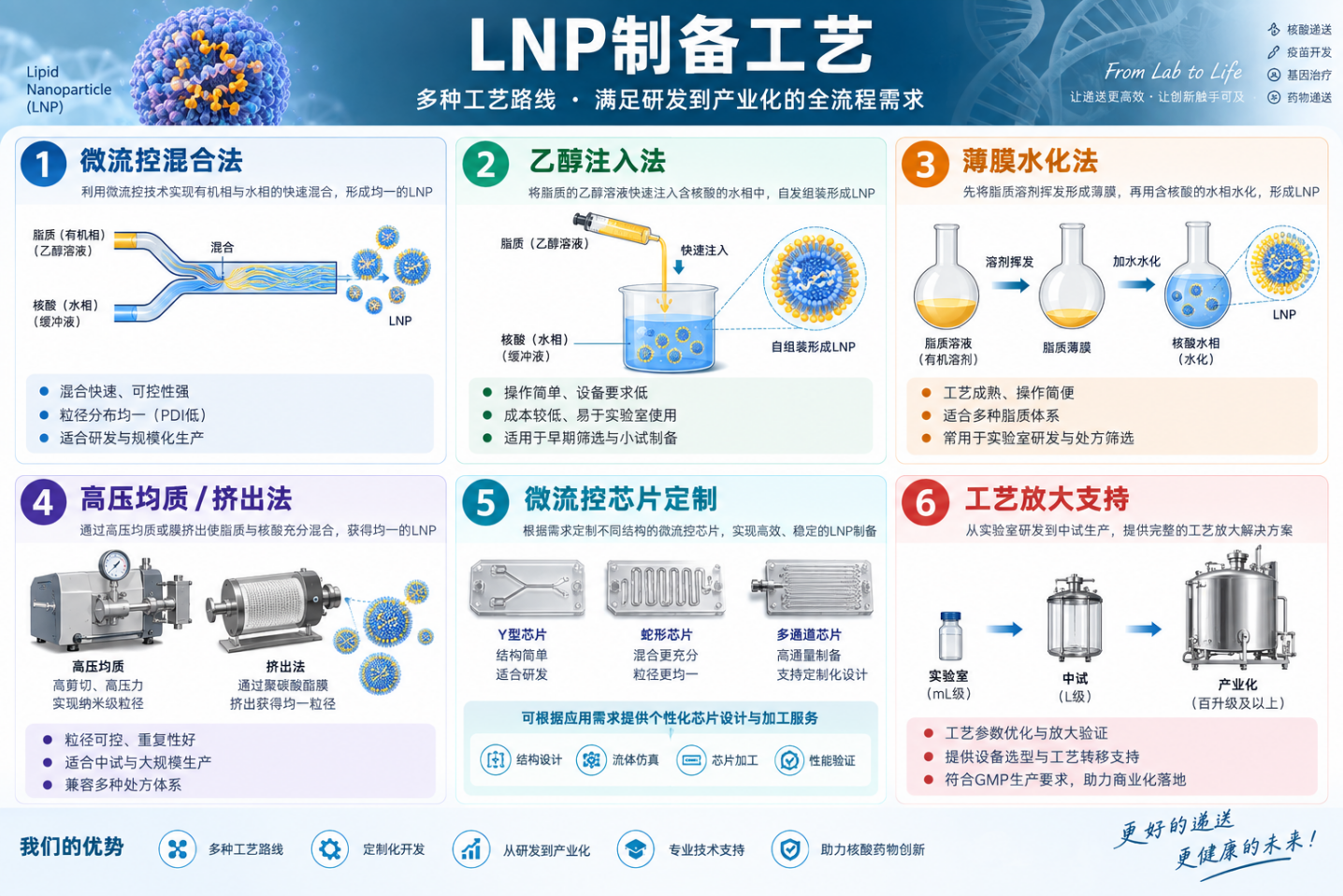 LNP制备工艺