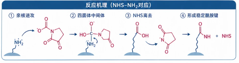 成像递送系统标记位置定制