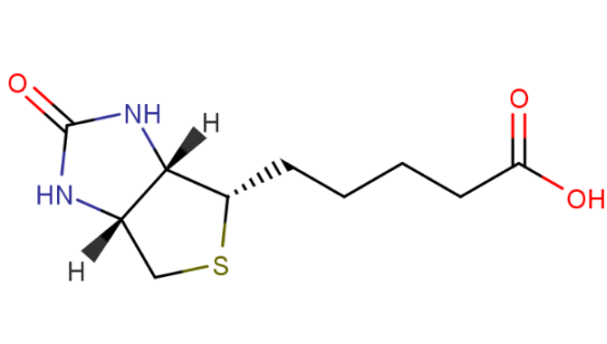 生物素末端功能基团定制