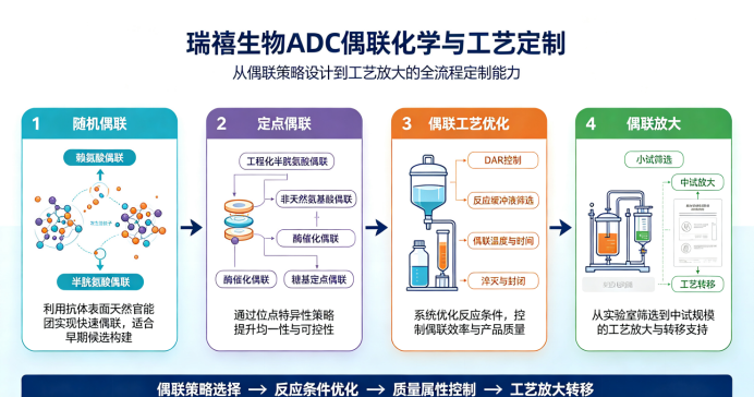 ADC偶联化学与工艺定制