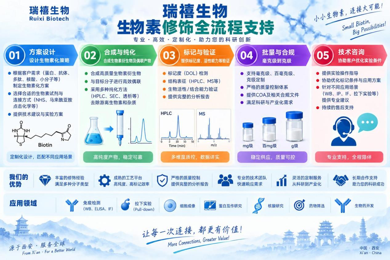 瑞禧生物设计到交付的全流程支持