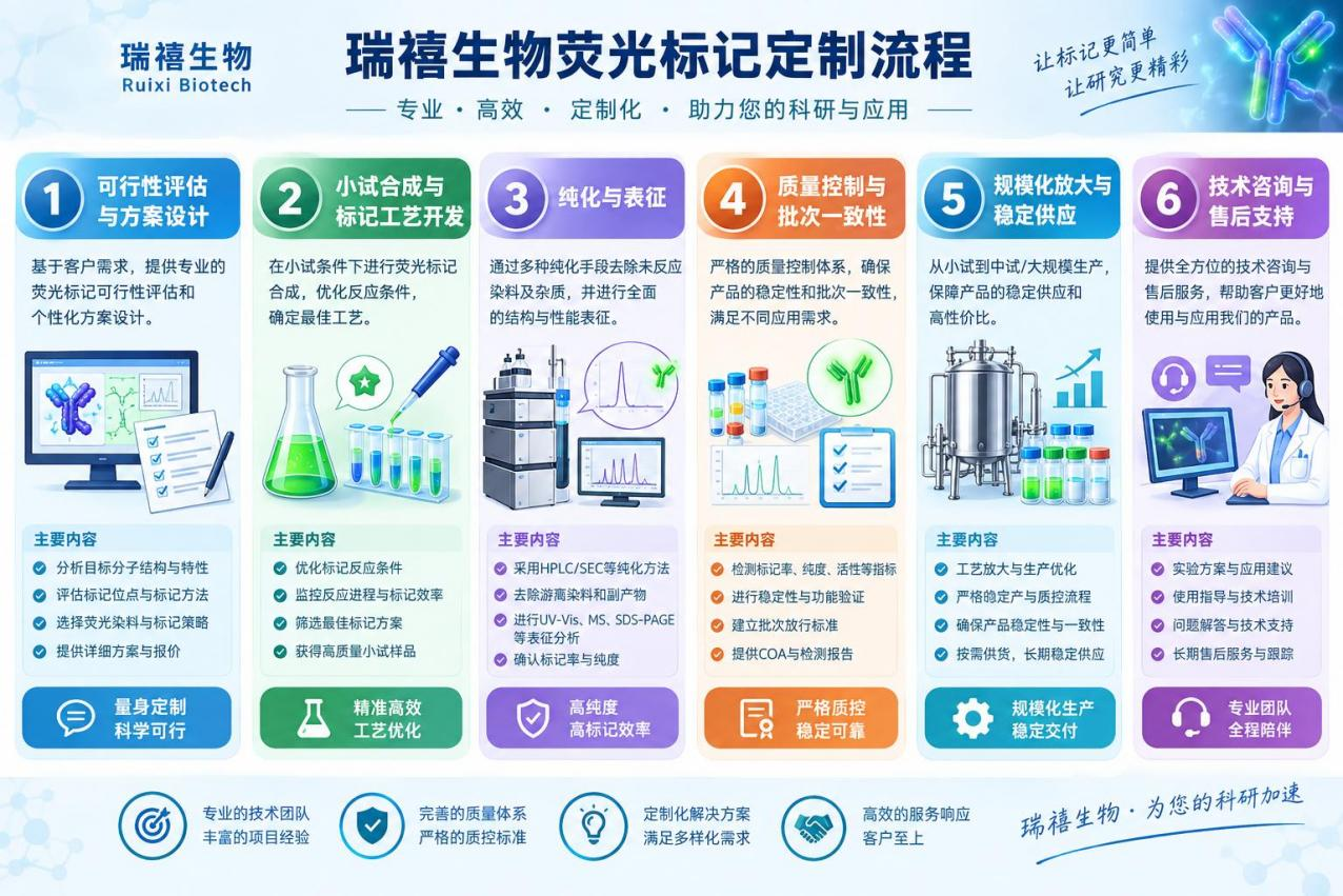 成像递送系统定制