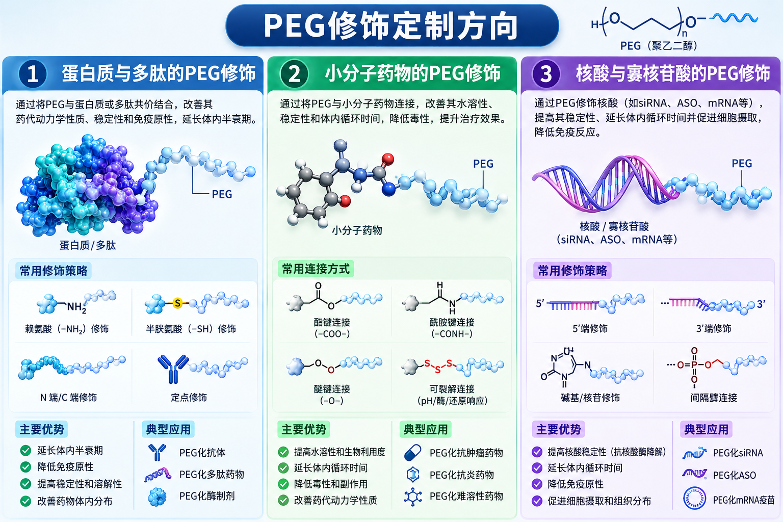 PEG修饰定制