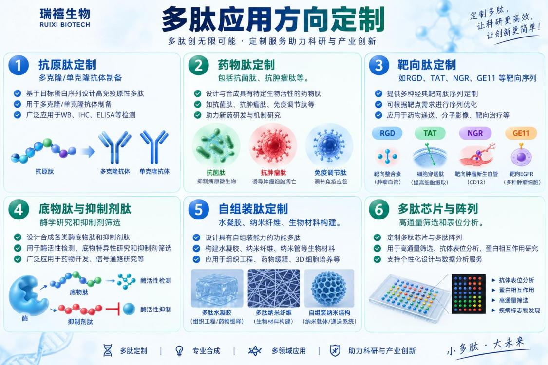 多肽应用方向定制