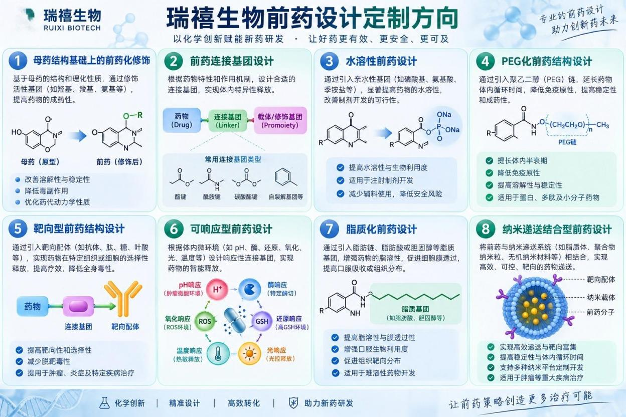前药设计定制