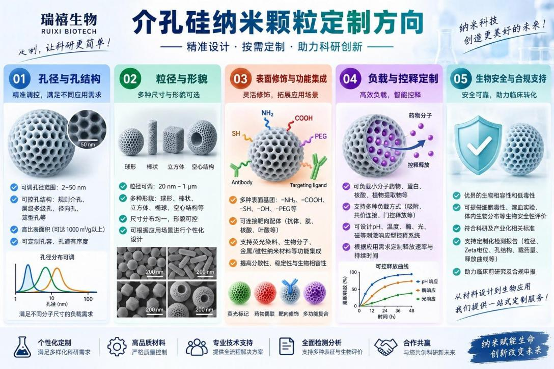 介孔硅纳米颗粒（MSN）可定制方向