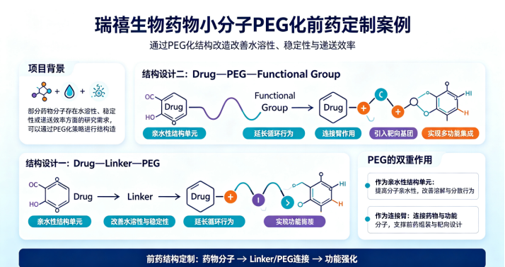 瑞禧生物药物小分子PEG化前药定制案例