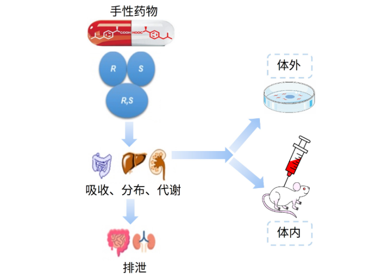 前药设计