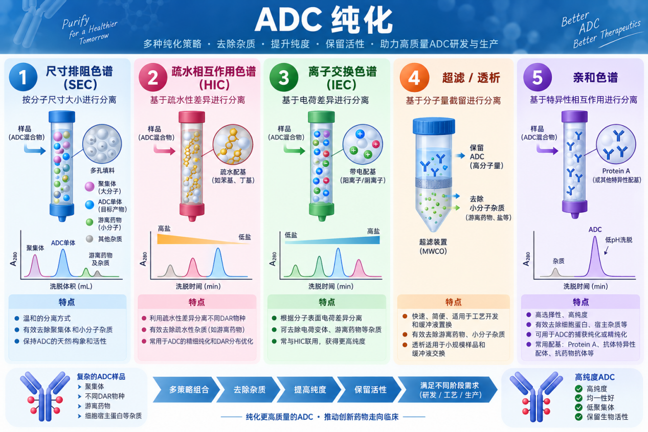 ADC 偶联化学与工艺定制