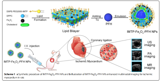 A non-invasive nanoparticles for multimodal imaging of ischemic myocardium in rats 配图