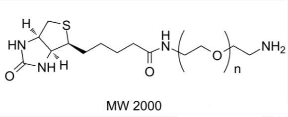 Biotin-PEG-Amine，生物素-PEG-氨基 