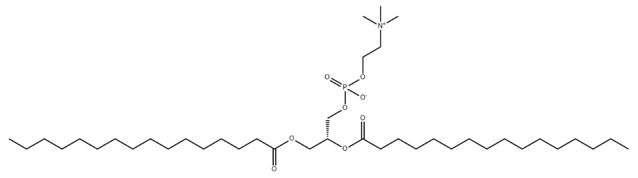 DPPC，1,2-二棕榈酰-sn-甘油-3-磷酸胆碱 R-939386