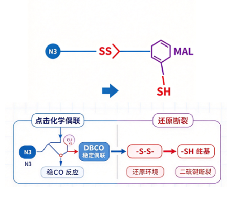 N3-PEG-SS-MAL，叠氮-马来酰亚胺二硫键PEG R-452099