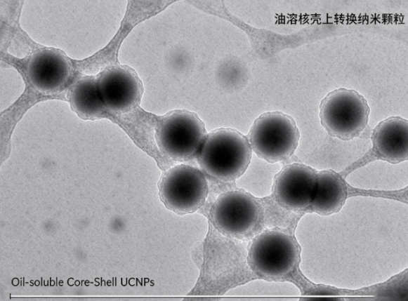 油溶核壳上转换纳米颗粒 R-108167