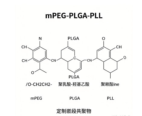 mPEG-b-PLGA-PLL 甲氧基聚乙二醇-b-聚乳酸羟基乙酸-b-聚赖氨酸三嵌段共聚物 R-387560