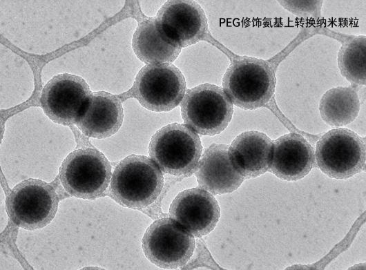 PEG修饰氨基上转换纳米颗粒,UCNs-PEG-NH2 R-730895