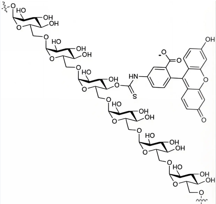 FITC-Dextran，异硫氰酸荧光素标记葡聚糖 R-244825
