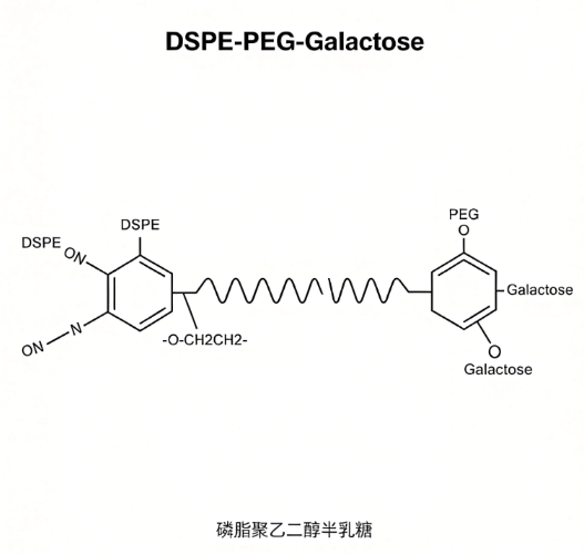 DSPE-PEG-Galactose，二硬脂酰磷脂酰乙醇胺-聚乙二醇-半乳糖 R-231098