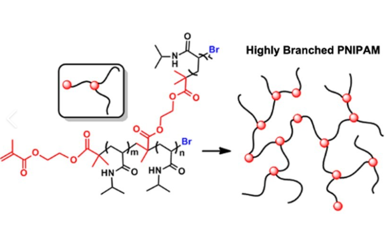 PNIPAM-PEG-COOH，聚 (N-异丙基丙烯酰胺)- 聚乙二醇-羧基 R-788442