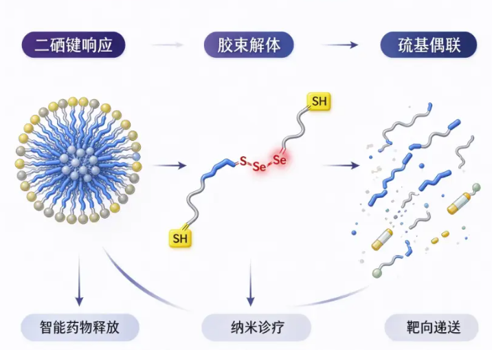 PLGA-Se-Se-PEG-COOH，聚（D,L-丙交酯-co-乙交酯）-双硒键-聚乙二醇-羧基 R-835664