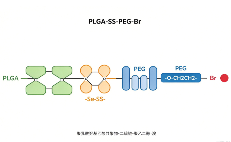 PLGA-SS-PEG-Br，聚乳酸羟基乙酸共聚物-二硫键-聚乙二醇-溴 R-133548