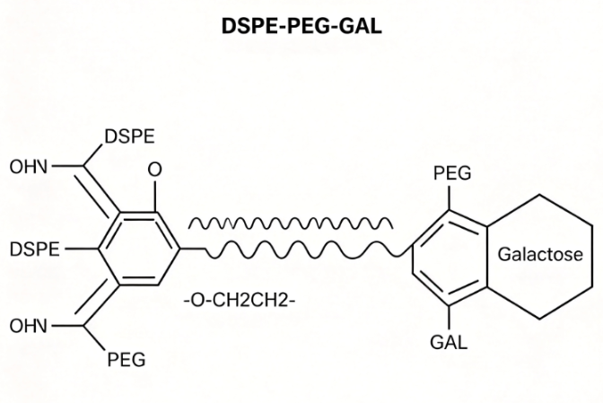 DSPE-PEG-galactose，磷脂聚乙二醇多糖 R-612962