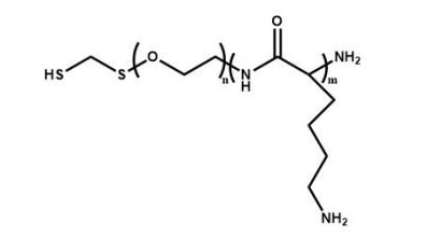 PLL-PEG-SH，聚赖氨酸-聚乙二醇-巯基 R-682247