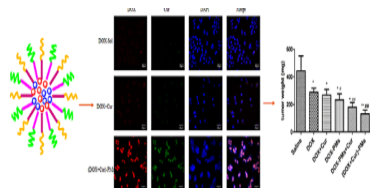 Synergistically Improved Anti-tumor Efficacy by Co-delivery Doxorubicin and Curcumin Polymeric Micelles 配图