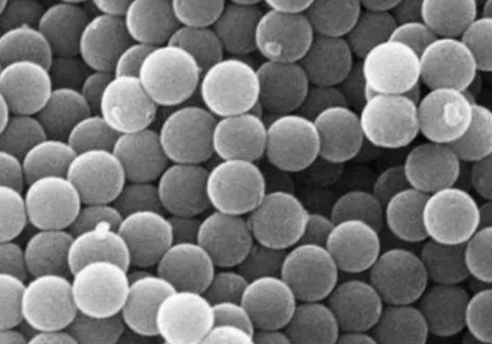 生物素二氧化硅微球 Biotin-SIO2 Particles R-661753