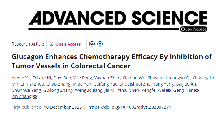 Glucagon Enhances Chemotherapy Efficacy By Inhibition of Tumor Vessels in Colorectal Cancer