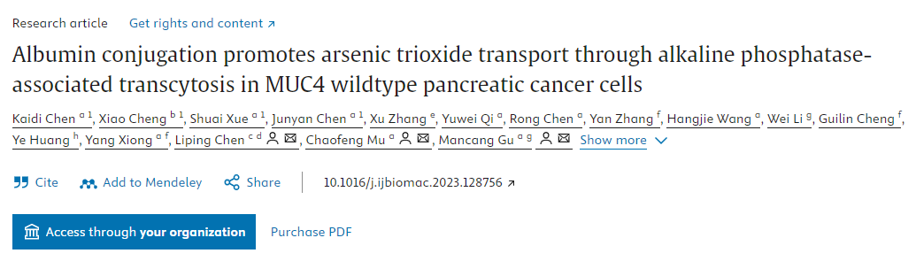 Albumin conjugation promotes arsenic trioxide transport through alkaline phosphataseassociated transcytosis in MUC4 wildtype pancreatic cancer cells 配图