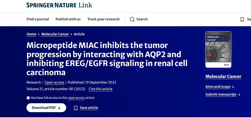 Micropeptide MIAC inhibits the tumor progression by interacting with AQP2 and inhibiting EREG/EGFR signaling in renal cell carcinoma 配图