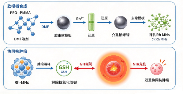 Naked mesoporous rhodium nanospheres with glutathione depletion and photothermal capabilities for tumor therapy 配图