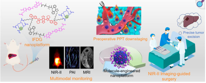 Rational design of NIR-II molecule-engineered nanoplatform for preoperative downstaging and imaging-guided surgery of orthotopic hepatic tumor 配图
