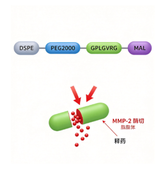 DSPE-PEG2000-GPLGVRG-MAL，MMP-2 敏感肽修饰磷脂，酶切释药 R-863872