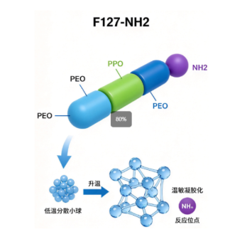 F127-NH2，氨基功能化泊洛沙姆F127温敏凝胶 R-582639