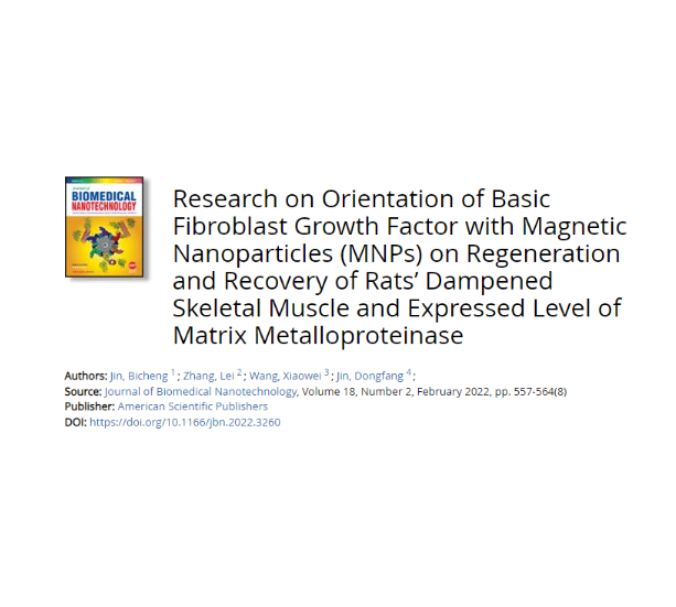 Research on Orientation of Basic Fibroblast Growth Factor with Magnetic Nanoparticles (MNPs) on Regeneration and Recovery of Rats’ Dampened Skeletal Muscle and Expressed Level of Matrix Metalloproteinase
