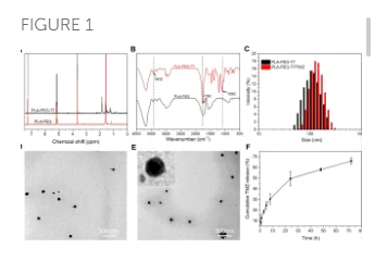 A Multifunctional AIE Nanoprobe as a Drug Delivery Bioimaging and Cancer Treatment System