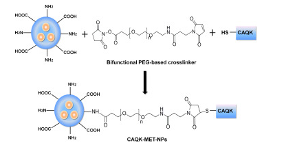 CAQK-MET-NPs
