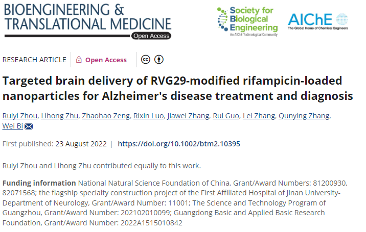 RVG29-modified rifampicin-loaded nanoparticles