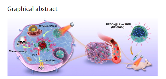 Complete ablation of resistant tumors with photosensitive black phosphorus quantum dots-based lipid nanocapsules 配图