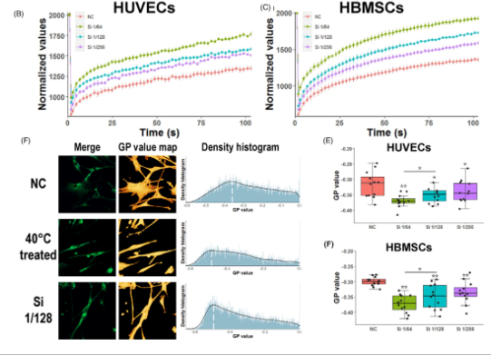 Bioglass could increase cell membrane fluidity with ion products to develop its bioactivity 配图